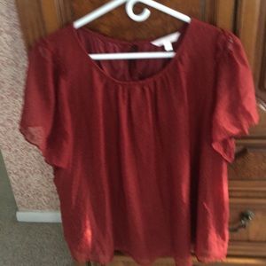 Sheer, lined, loose fit, tie neck blouse